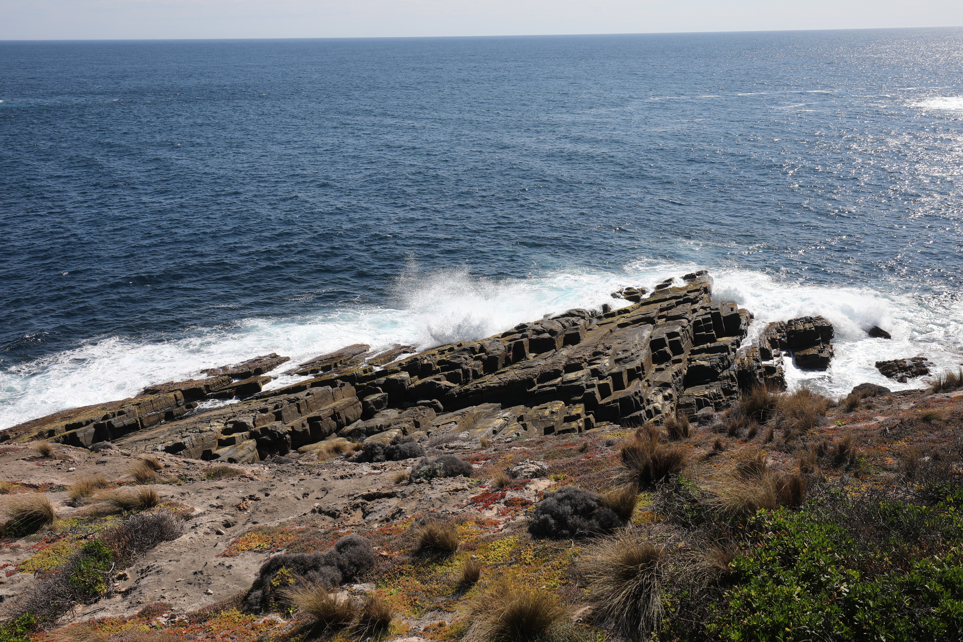 2019 10 01 14 34 10 Canon EOS 5D Mark IV 0027